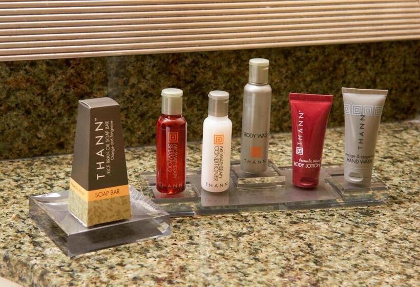 Номер Стандарт Кровать Кинг Адаптированный для Инвалидов, Milwaukee Marriott West