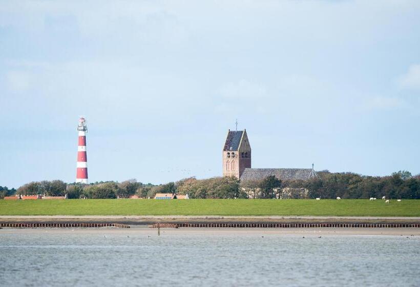 수피리어 룸, Breeze Ameland