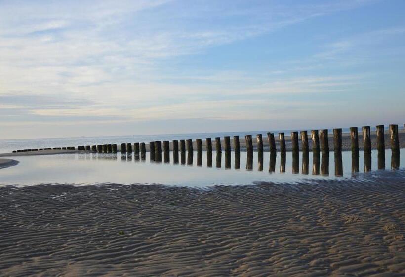 수피리어 룸, Breeze Ameland