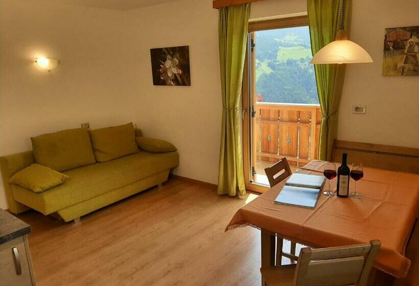 Апартаменты 1 Спальня с Видом, Ferienbauernhof Masunerhof