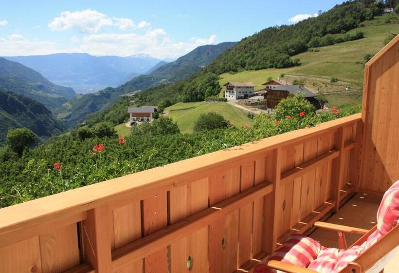 Апартаменты 1 Спальня с Видом, Ferienbauernhof Masunerhof