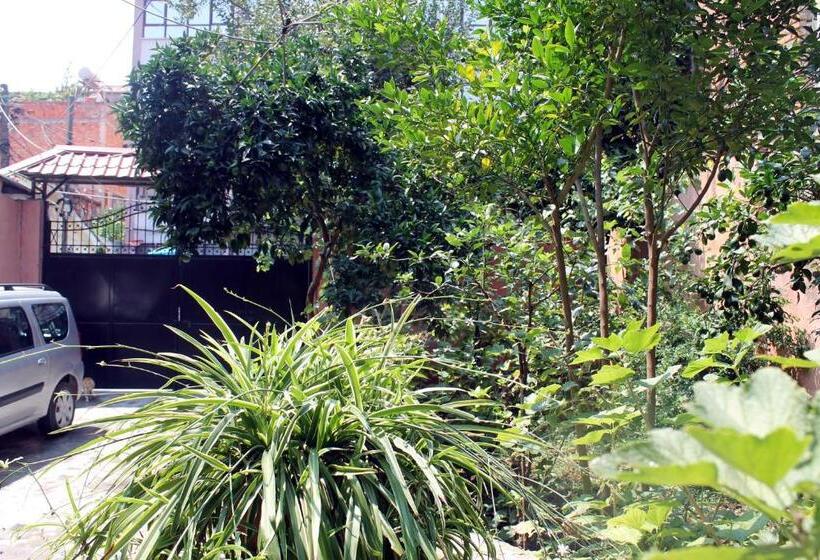 标准间, Villa Center