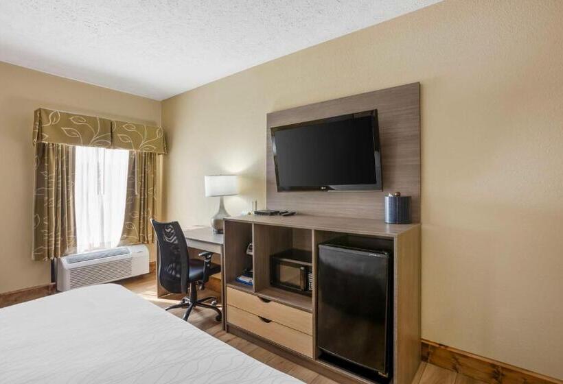 Стандартный Номер Кровать Кинг, Best Western Plus Springfield Airport Inn