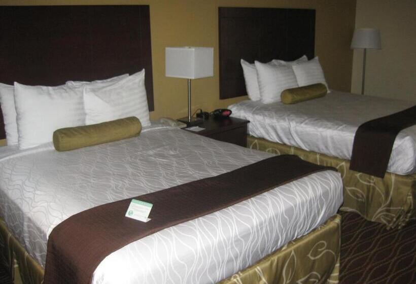 Номер Стандарт, Best Western Plus Springfield Airport Inn