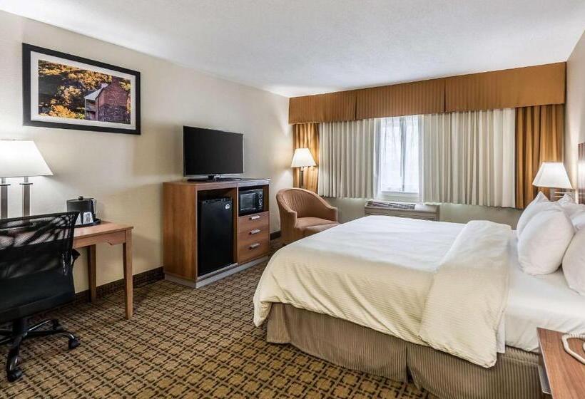 스탠다드 룸 킹사이즈 침대, Clarion Inn Harpers Ferrycharles Town