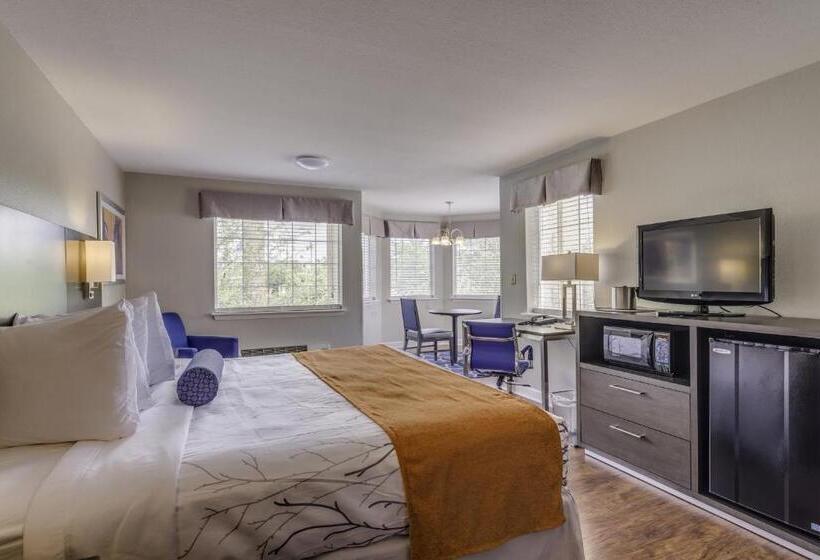 Полулюкс, Guesthouse Inn & Suites Lexington