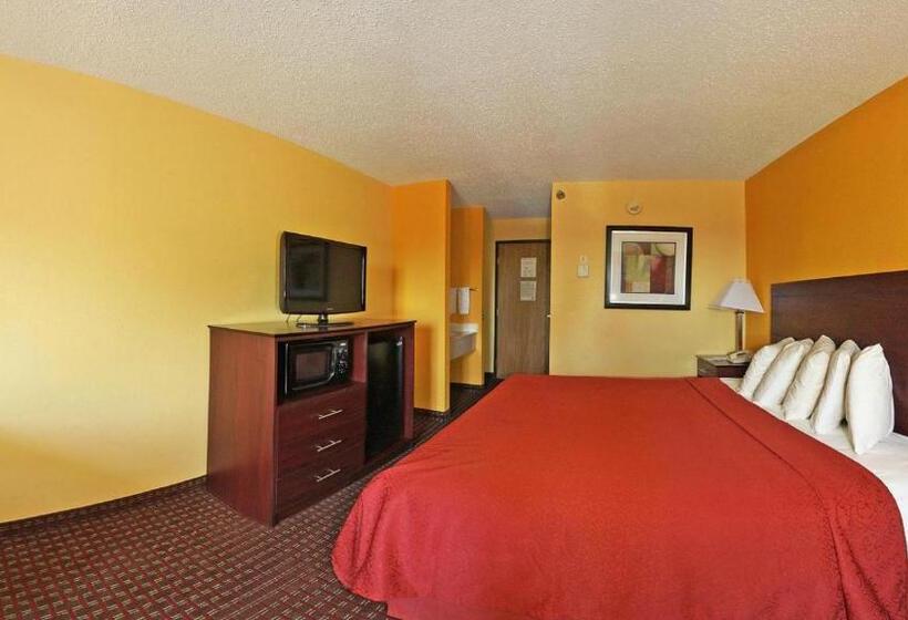 Стандартный Номер Кровать Кинг, Quality Inn Central Wisconsin Airport