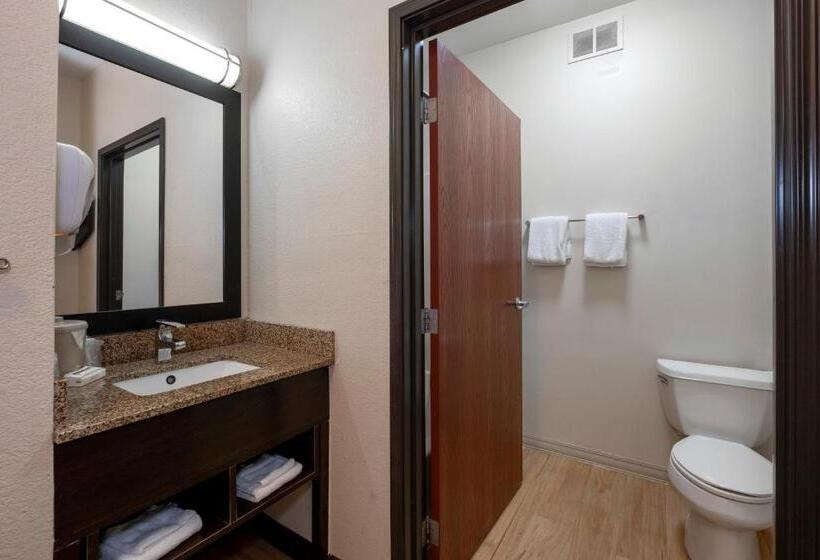 غرفة ديلوكس, Red Roof Inn & Suites Dover Downtown