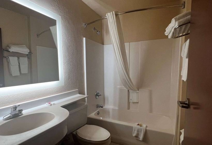 Suite, Microtel Inn & Suites By Wyndham Houston/webster/nasa/clearlake