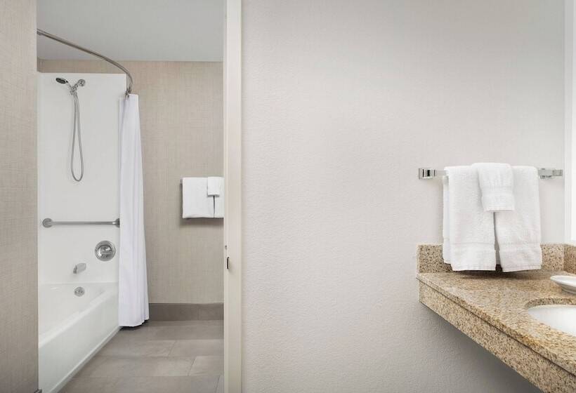침실 2개 스위트, Residence Inn Denver South/park Meadows Mall