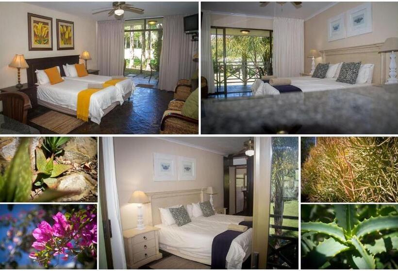 Номер Стандарт, Areena Riverside Resort