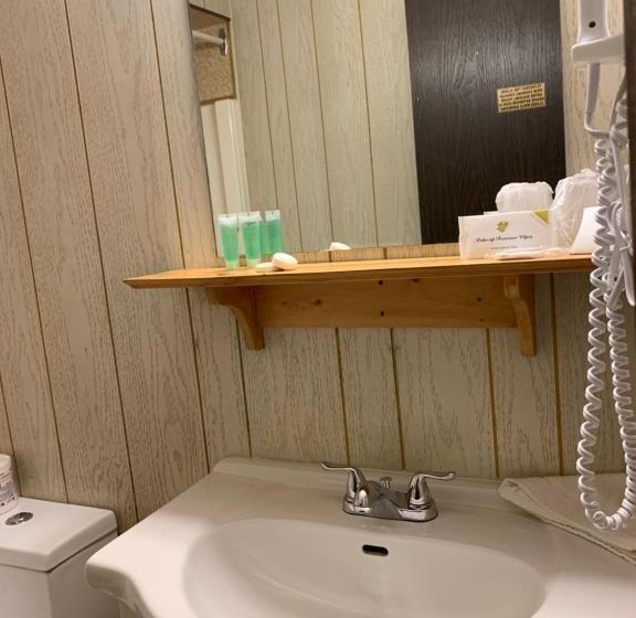 Номер Стандарт, Green View Motel And Rv Park