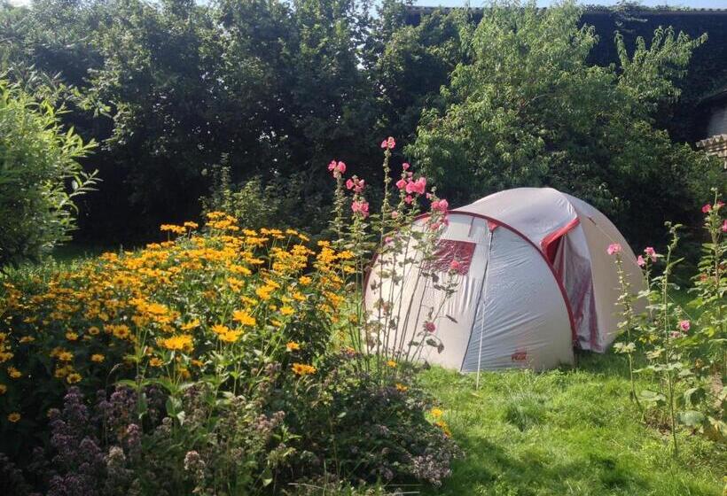 Standard Tent, Landhof Liebsch, Mit Pool Und Sauna