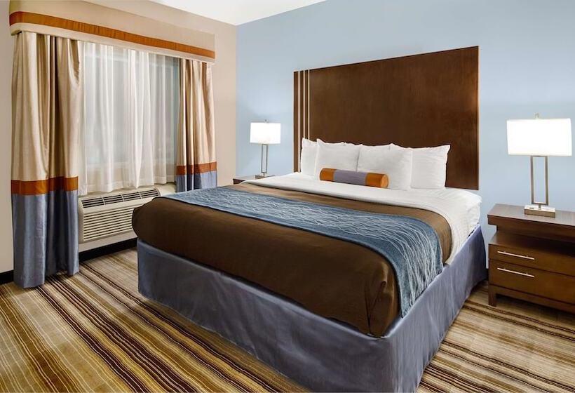 Люкс, Best Western Plus Washington