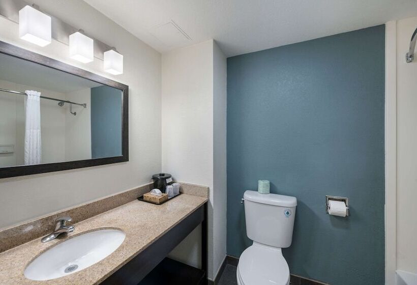 스탠다드 룸 더블 침대 2개, Sleep Inn & Suites Chesapeake   Portsmouth