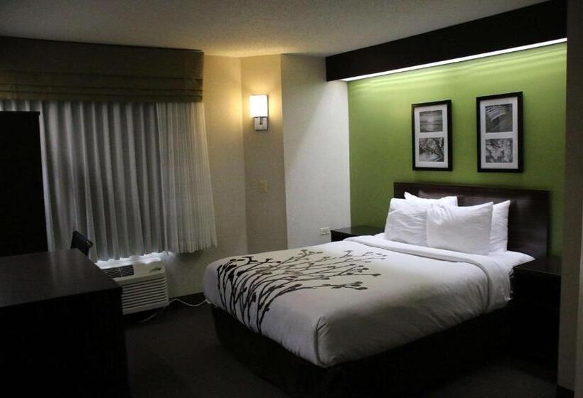스탠다드 룸, Sleep Inn Near Great Lakes Naval Base
