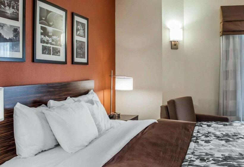 Номер Стандарт Адаптированный для Инвалидов, Sleep Inn North Charleston Ashley Phosphate