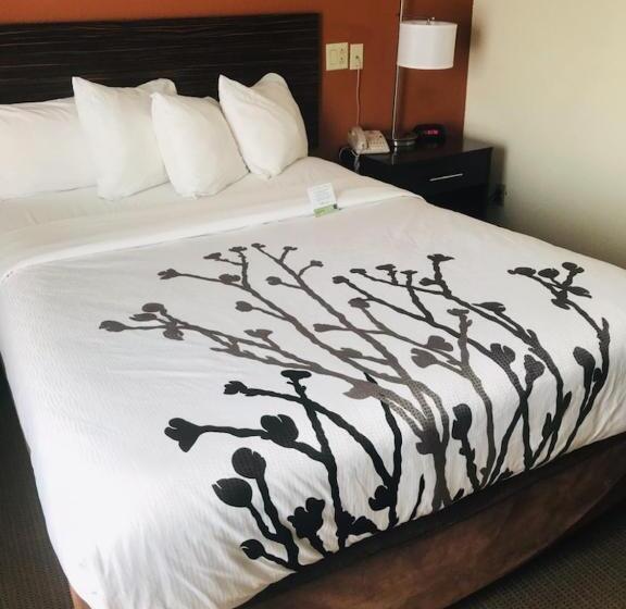 Номер Стандарт Адаптированный для Инвалидов, Sleep Inn North Charleston Ashley Phosphate