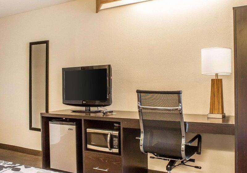 带大床的套房, Sleep Inn Sea Tac Airport