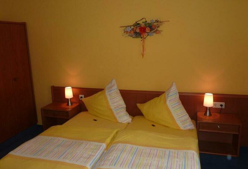 适合残疾人士使用的单人标准间, Kyffhäuserhotel Goldene Aue