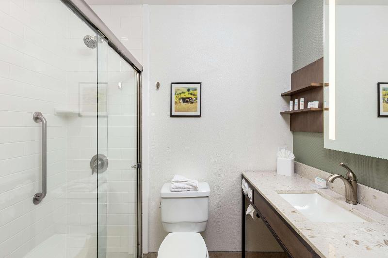 스탠다드 룸 킹사이즈 침대, Hilton Garden Inn Davis Downtown