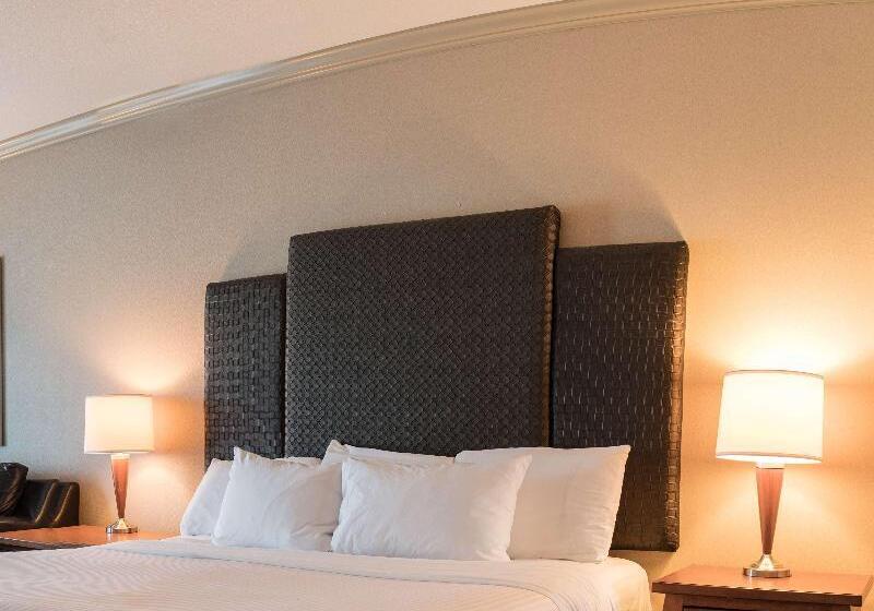 장애인을 위한 스탠다드 룸, Hilton Garden Inn Davis Downtown