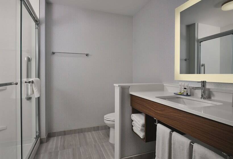 适合残疾人士使用的套间, Holiday Inn Express & Suites   Lockport, An Ihg