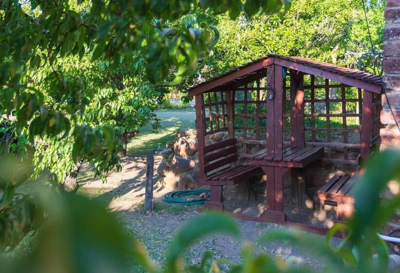 Номер Стандарт, Gariep Dam Sunrose Group Of Guest Houses
