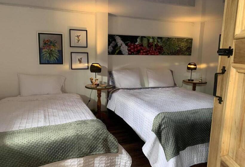 트리플 클래식 룸, La Estancia Hotel Boutique