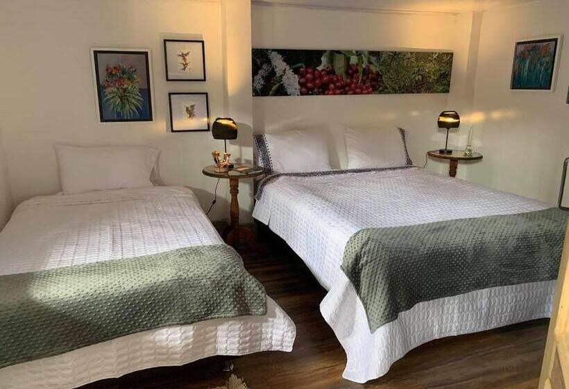트리플 클래식 룸, La Estancia Hotel Boutique