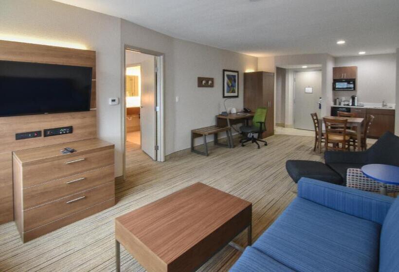 Suite, Holiday Inn Express & Suites   Indianapolis Northwest, An Ihg