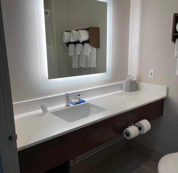 Suite Aangepast voor Gehandicapten, Holiday Inn Express & Suites   Indianapolis Northwest, An Ihg