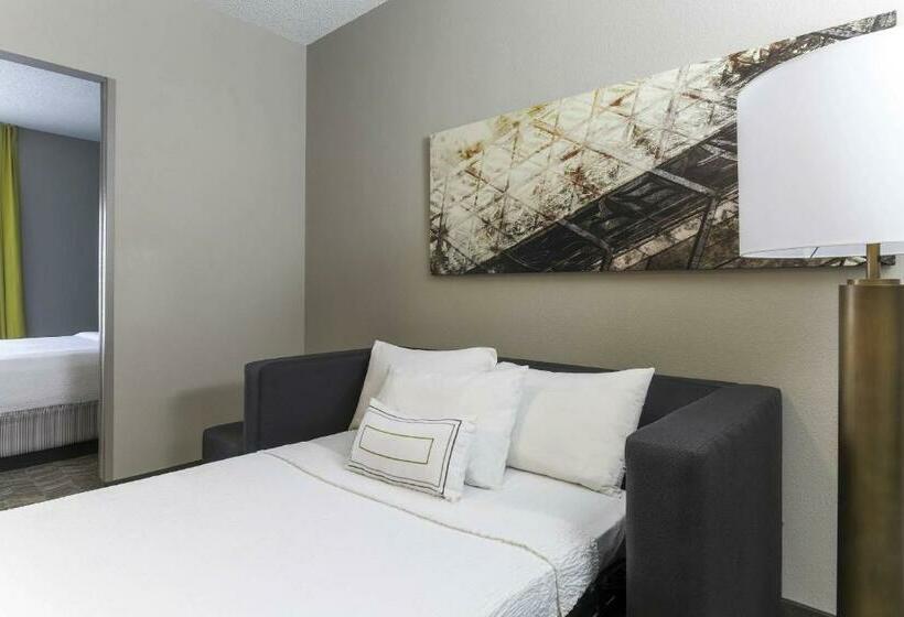 Suite, Springhill Suites By Marriott Austin Parmer/tech Ridge