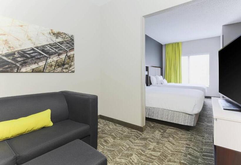Suite, Springhill Suites By Marriott Austin Parmer/tech Ridge