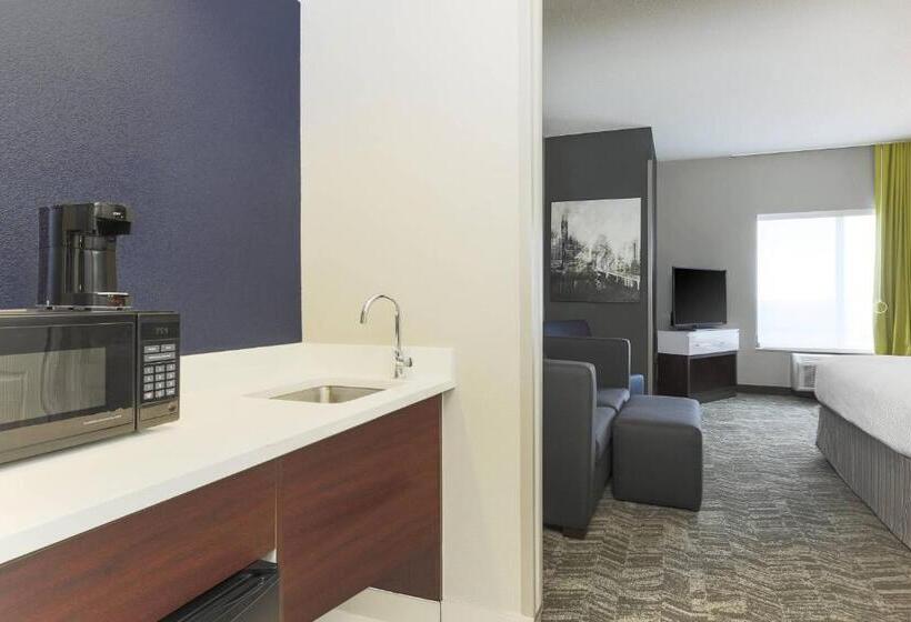 Suite Lit King, Springhill Suites By Marriott Austin Parmer/tech Ridge