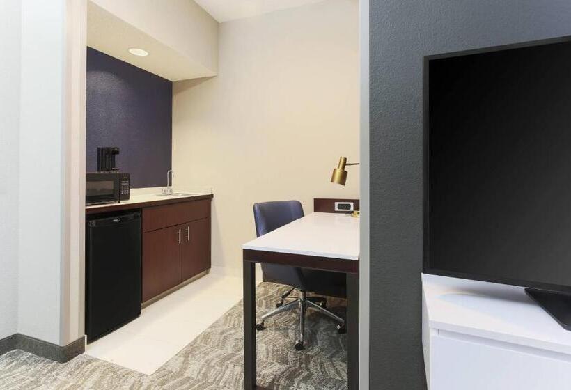 Suite Lit King, Springhill Suites By Marriott Austin Parmer/tech Ridge
