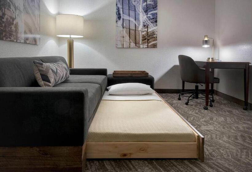 Люкс, Springhill Suites Danbury
