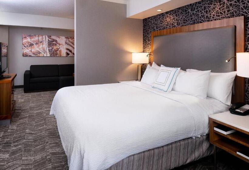 带大床的标准工作室, Springhill Suites By Marriott Pittsburgh North Shore