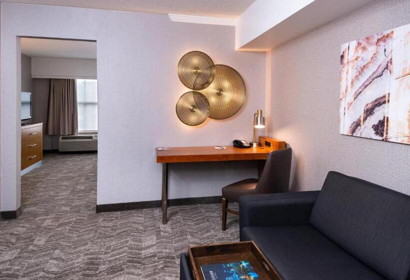 带双人大床的行政管理套房, Springhill Suites By Marriott Pittsburgh North Shore