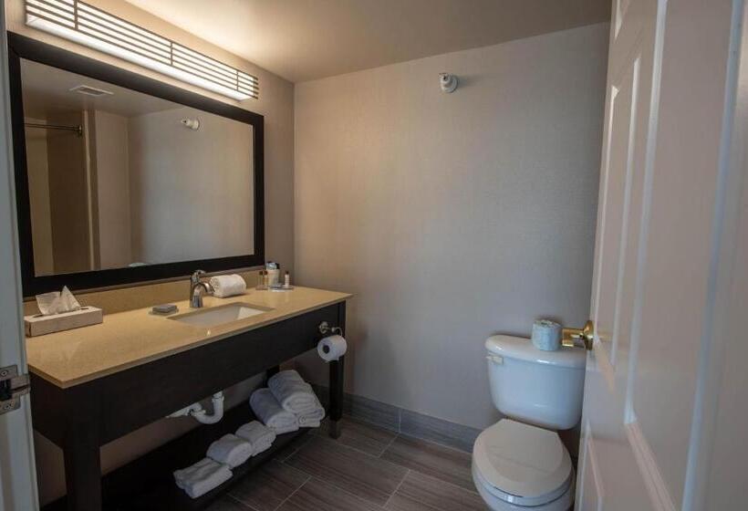 Люкс Deluxe Кровать Кинг, Wingate By Wyndham Indianapolis Airport Plainfield