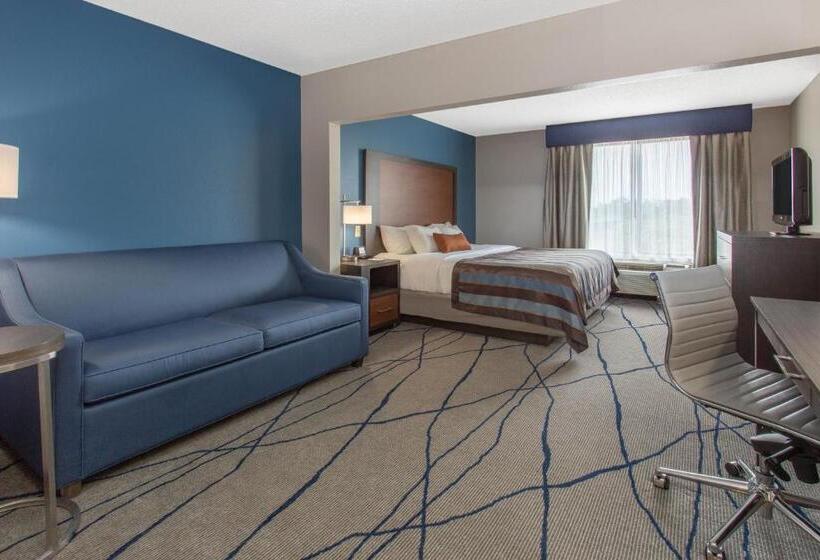 Стандартный Номер Кровать Кинг, Wingate By Wyndham Indianapolis Airport Plainfield