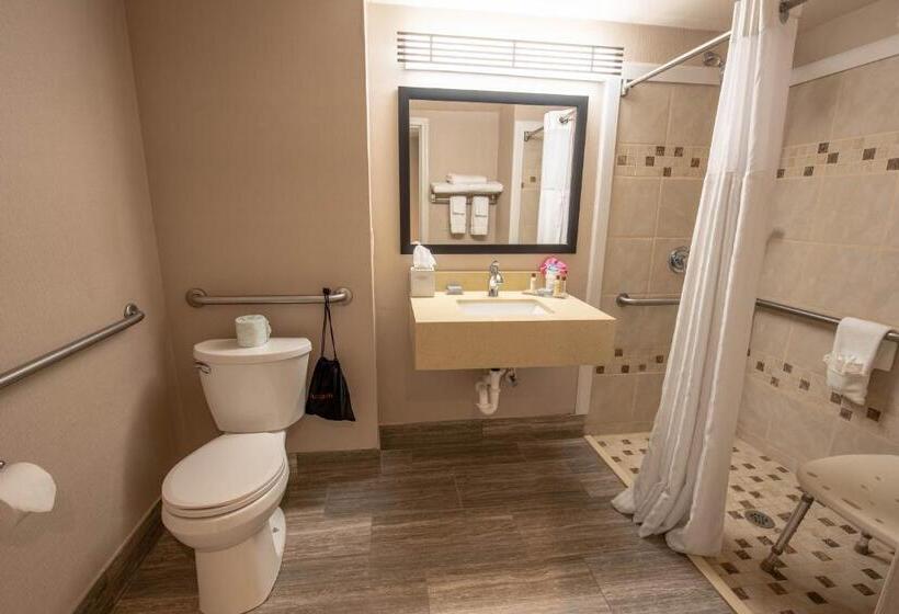 Стандартный Номер Кровать Кинг, Wingate By Wyndham Indianapolis Airport Plainfield