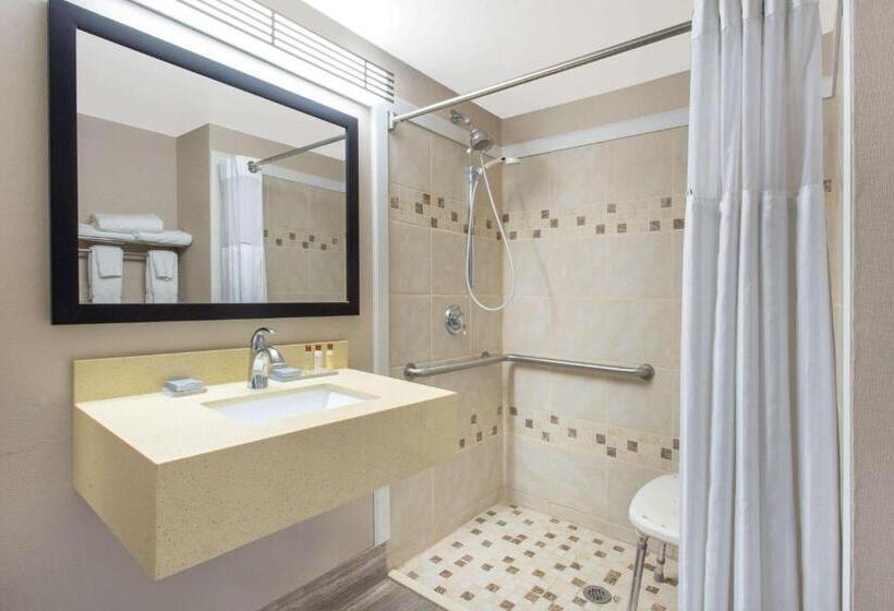 Стандартный Номер Кровать Кинг, Wingate By Wyndham Indianapolis Airport Plainfield
