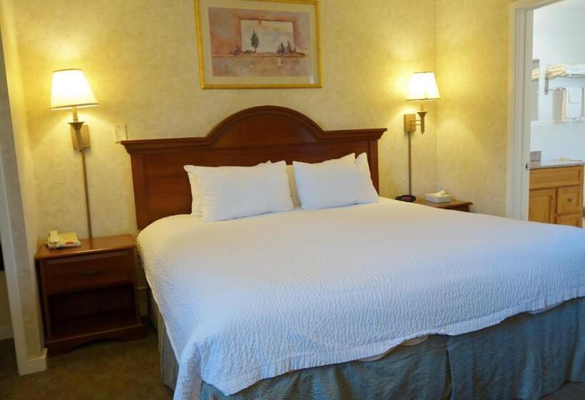 Pokój Standard Łóżko King Size, Monument Mountain Motel