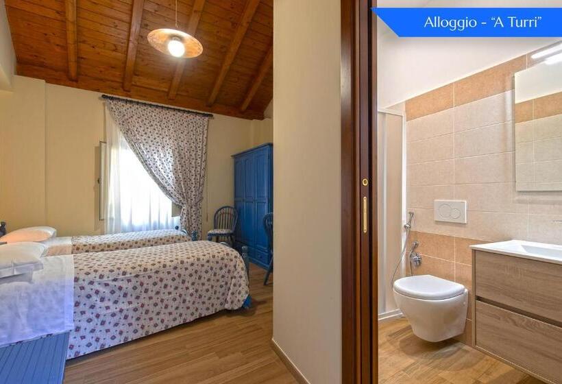 Номер Стандарт, B&b Loreto