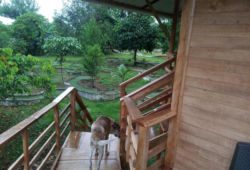 침실 1개 테라스 아파트, Hostal Suna Vito