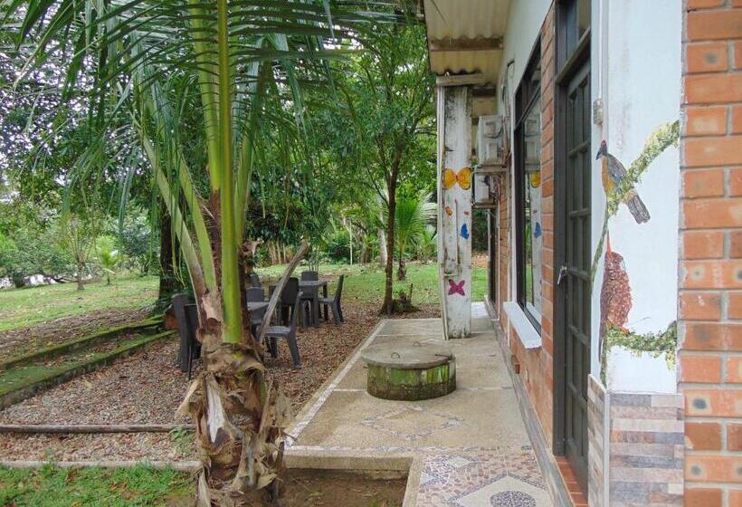 스탠다드 룸, Hostal Suna Vito