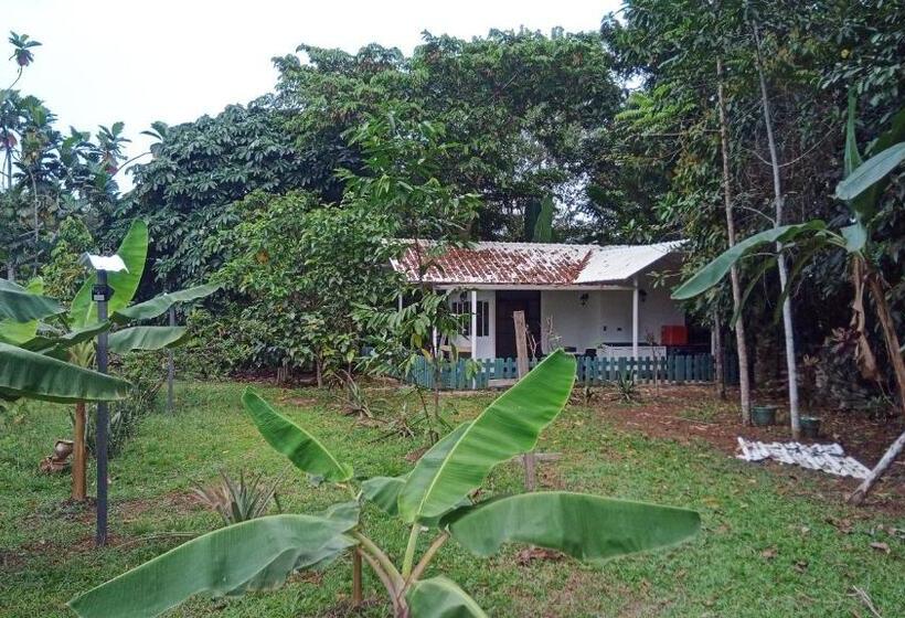 침실 1개 가든 전망 아파트, Hostal Suna Vito