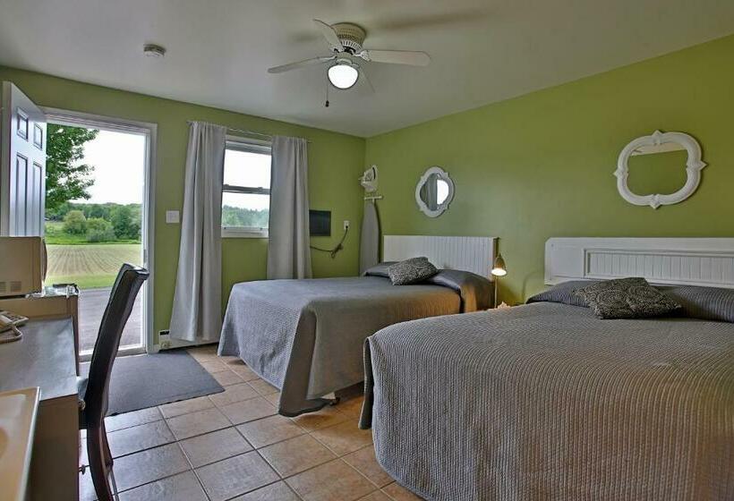 חדר סטנדרט לארבעה, Motel Exquise