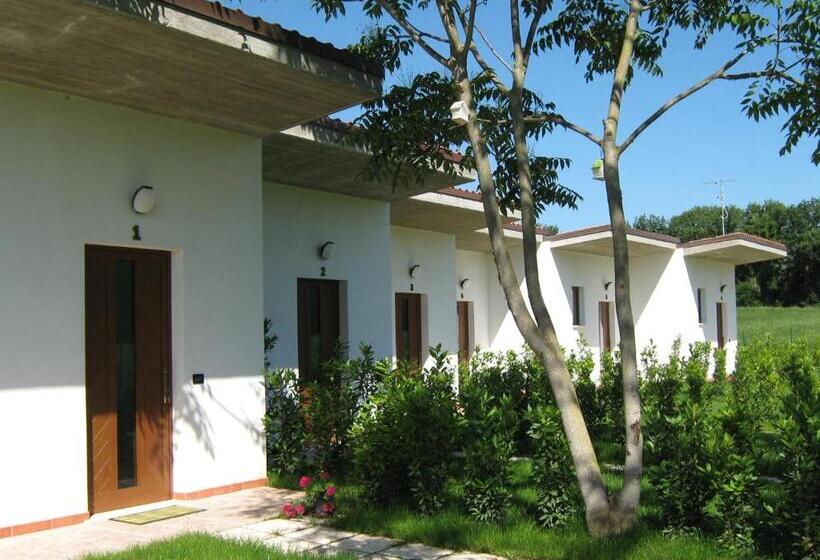Номер Стандарт, B & B Oasi